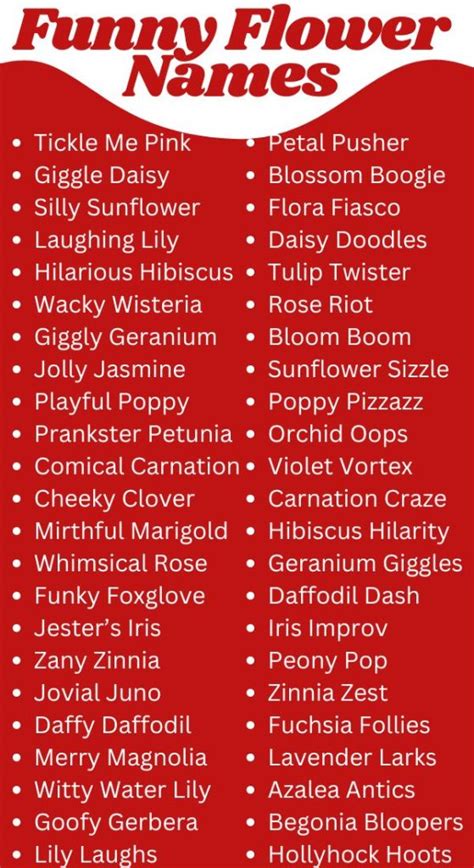 odd flower names|250+ Funny Flower Names (Creative and Unique Ideas).